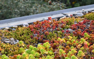 the cost of Byram green roof installation