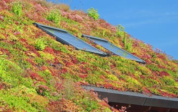 Byram living roof systems
